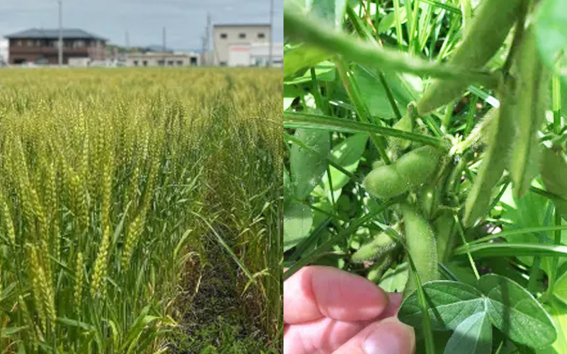 農園